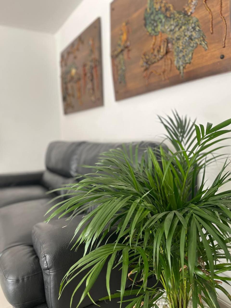 Hotel Otun Plaza Pereira Zewnętrze zdjęcie